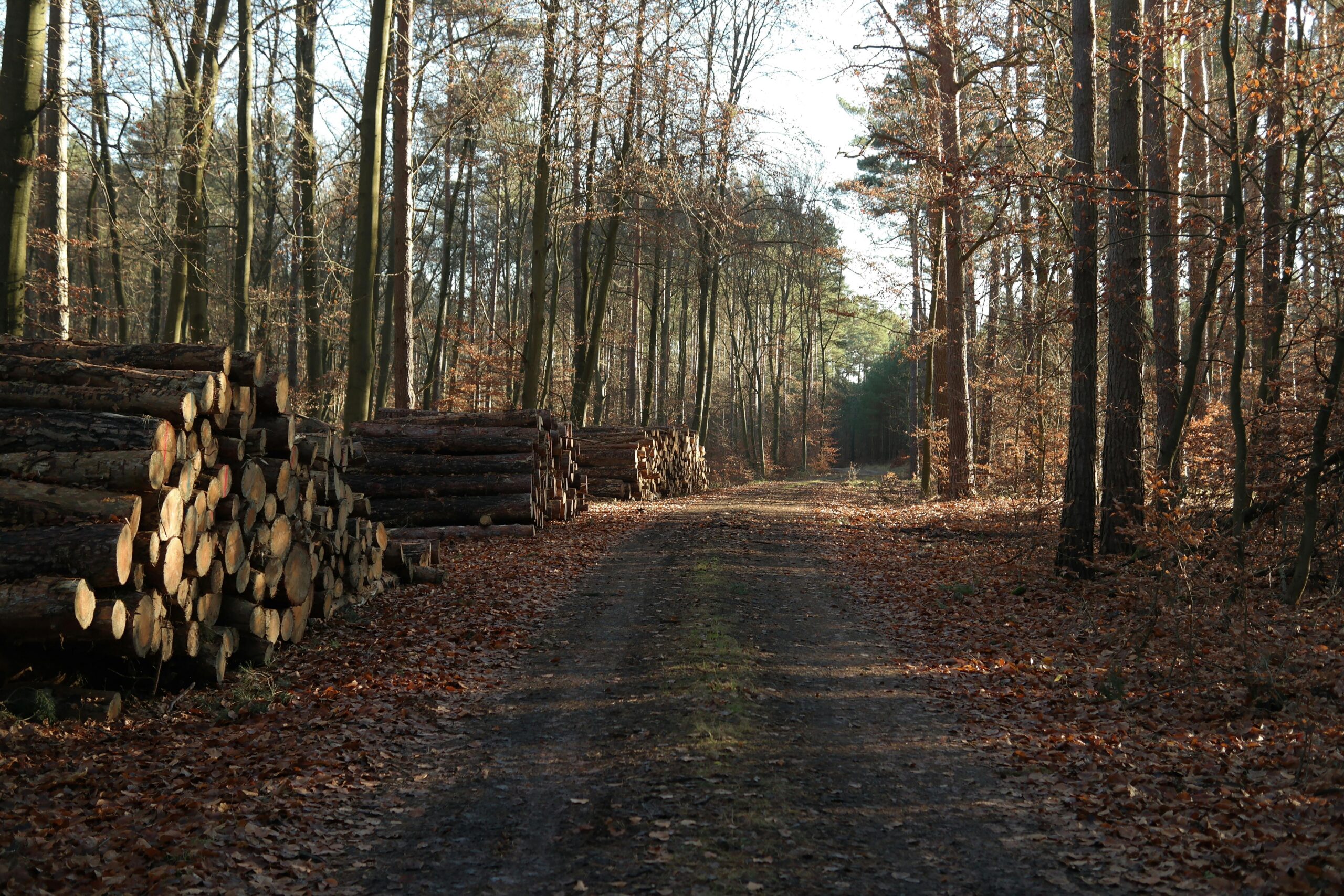 Selling Farm or Forest Land? A New Tax Deferral Option